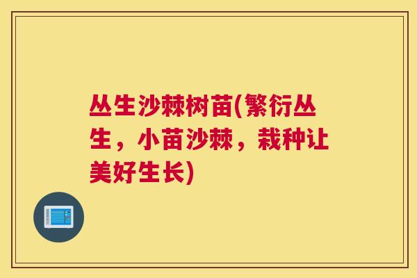丛生沙棘树苗(繁衍丛生，小苗沙棘，栽种让美好生长)