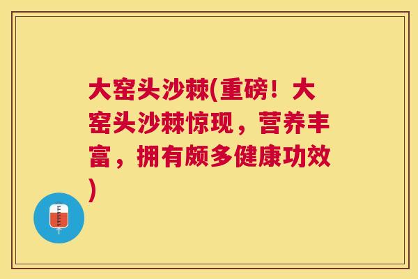 大窑头沙棘(重磅！大窑头沙棘惊现，营养丰富，拥有颇多健康功效)