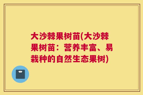 大沙棘果树苗(大沙棘果树苗：营养丰富、易栽种的自然生态果树)