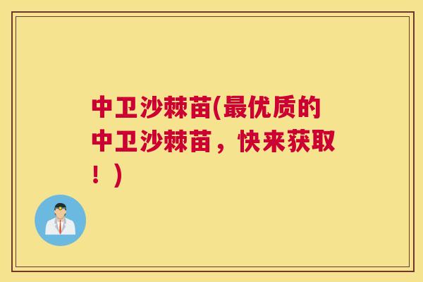 中卫沙棘苗(最优质的中卫沙棘苗，快来获取！)