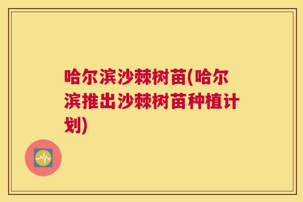 哈尔滨沙棘树苗(哈尔滨推出沙棘树苗种植计划)