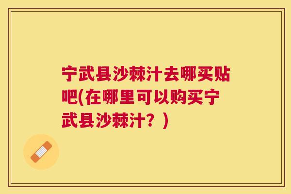 宁武县沙棘汁去哪买贴吧(在哪里可以购买宁武县沙棘汁？)