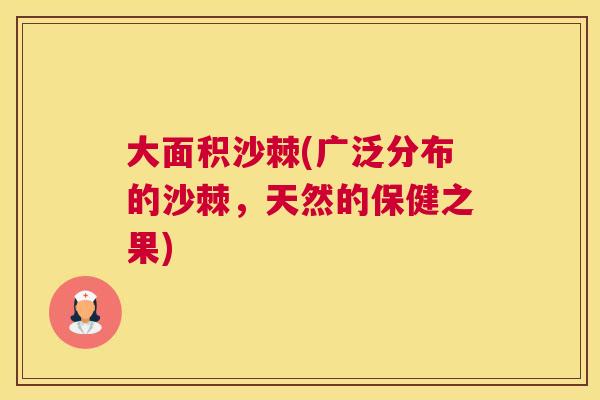 大面积沙棘(广泛分布的沙棘，天然的保健之果)