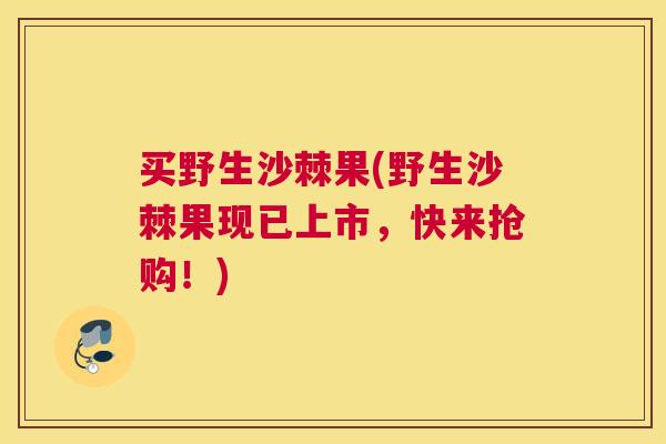 买野生沙棘果(野生沙棘果现已上市，快来抢购！)