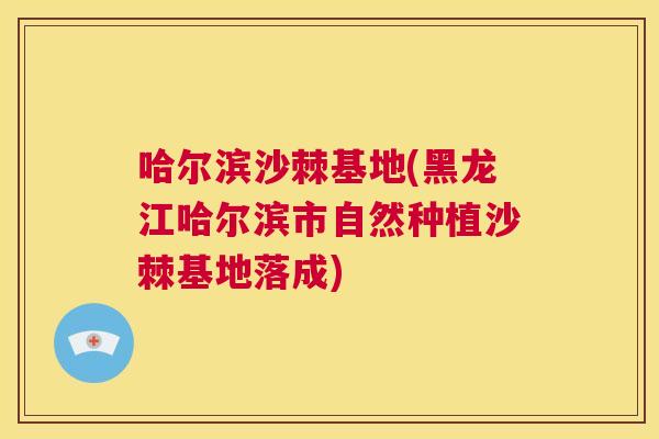 哈尔滨沙棘基地(黑龙江哈尔滨市自然种植沙棘基地落成)