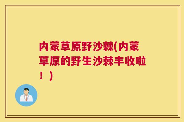 内蒙草原野沙棘(内蒙草原的野生沙棘丰收啦！)