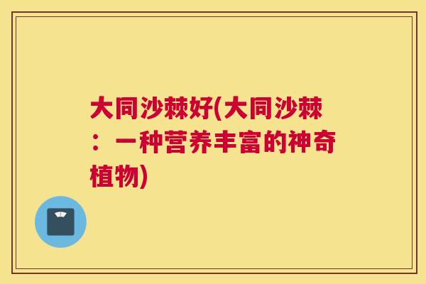 大同沙棘好(大同沙棘：一种营养丰富的神奇植物)