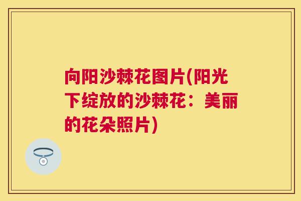向阳沙棘花图片(阳光下绽放的沙棘花：美丽的花朵照片)