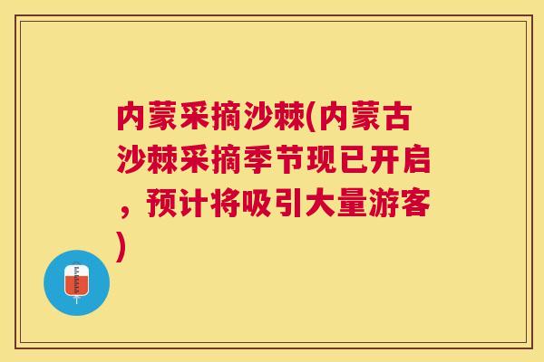 内蒙采摘沙棘(内蒙古沙棘采摘季节现已开启，预计将吸引大量游客)
