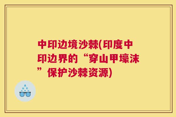 中印边境沙棘(印度中印边界的“穿山甲壕沫”保护沙棘资源)
