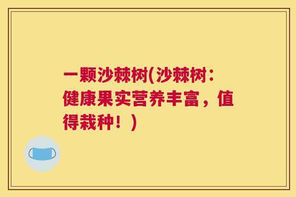 一颗沙棘树(沙棘树：健康果实营养丰富，值得栽种！)