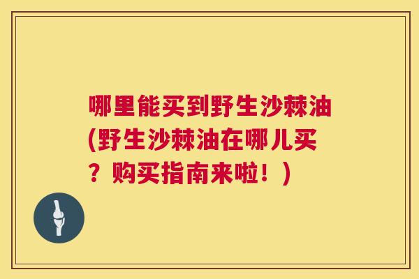 哪里能买到野生沙棘油(野生沙棘油在哪儿买？购买指南来啦！)
