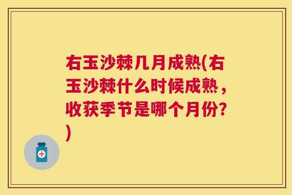 右玉沙棘几月成熟(右玉沙棘什么时候成熟，收获季节是哪个月份？)