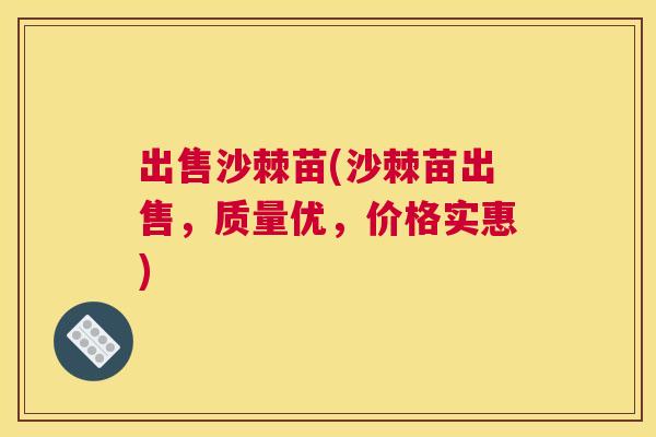 出售沙棘苗(沙棘苗出售，质量优，价格实惠)
