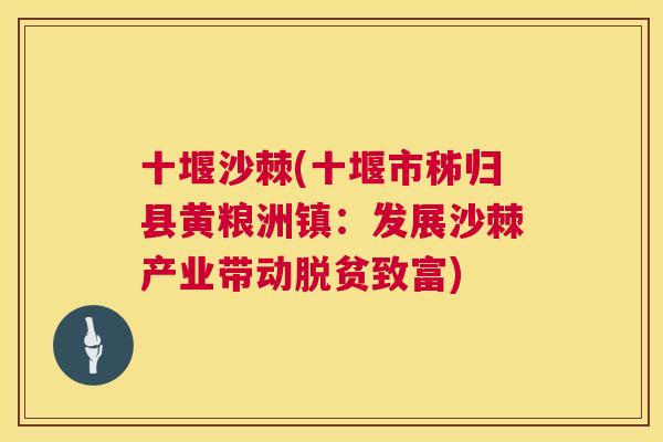 十堰沙棘(十堰市秭归县黄粮洲镇：发展沙棘产业带动脱贫致富)