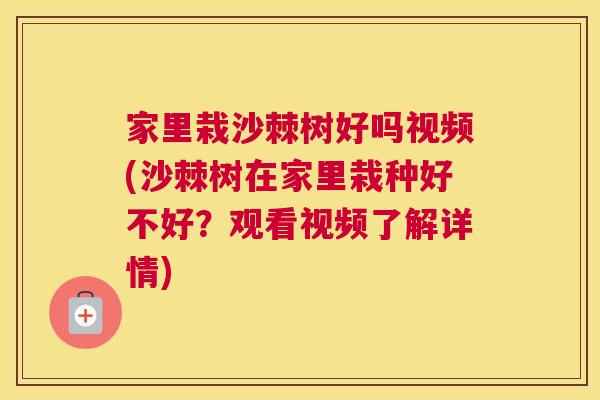 家里栽沙棘树好吗视频(沙棘树在家里栽种好不好？观看视频了解详情)