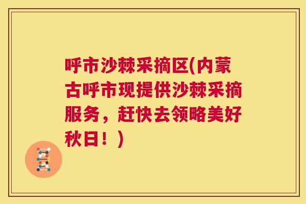 呼市沙棘采摘区(内蒙古呼市现提供沙棘采摘服务，赶快去领略美好秋日！)