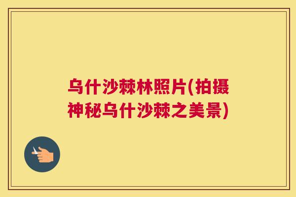 乌什沙棘林照片(拍摄神秘乌什沙棘之美景)