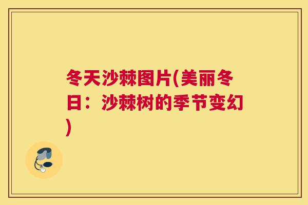 冬天沙棘图片(美丽冬日：沙棘树的季节变幻)