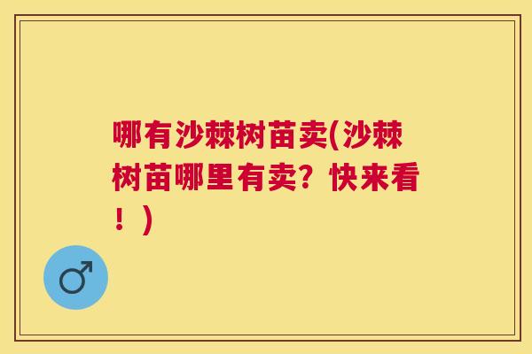哪有沙棘树苗卖(沙棘树苗哪里有卖？快来看！)