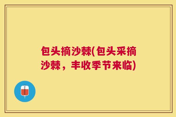 包头摘沙棘(包头采摘沙棘，丰收季节来临)