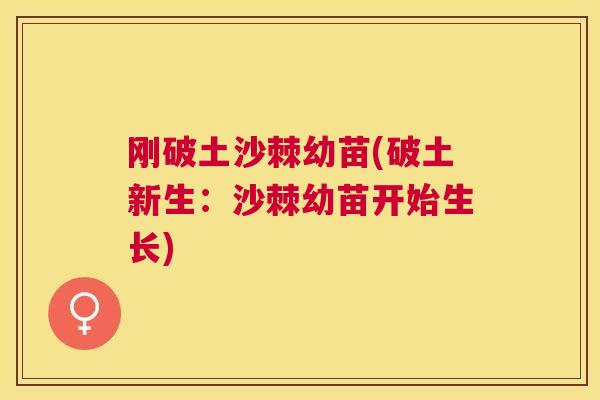 刚破土沙棘幼苗(破土新生：沙棘幼苗开始生长)