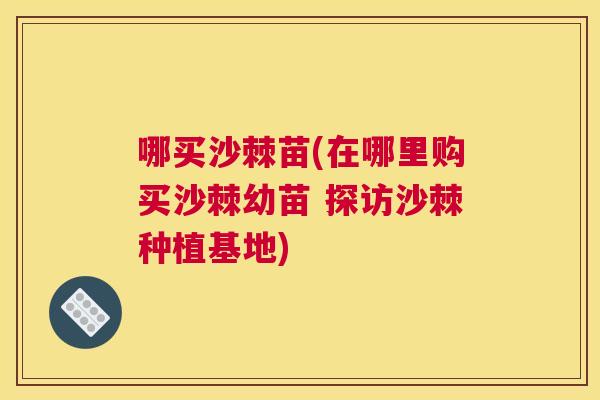 哪买沙棘苗(在哪里购买沙棘幼苗 探访沙棘种植基地)