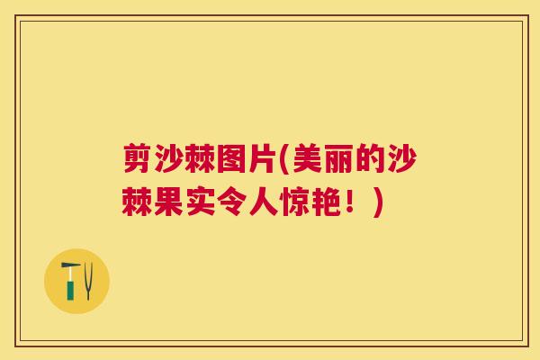 剪沙棘图片(美丽的沙棘果实令人惊艳！)