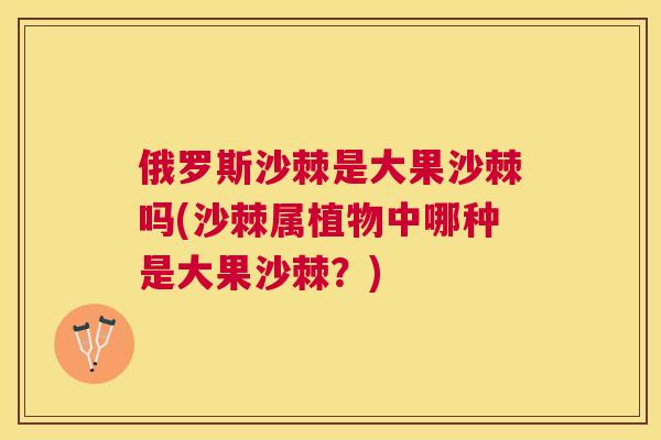 俄罗斯沙棘是大果沙棘吗(沙棘属植物中哪种是大果沙棘？)