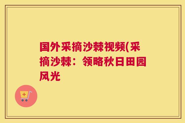 国外采摘沙棘视频(采摘沙棘：领略秋日田园风光