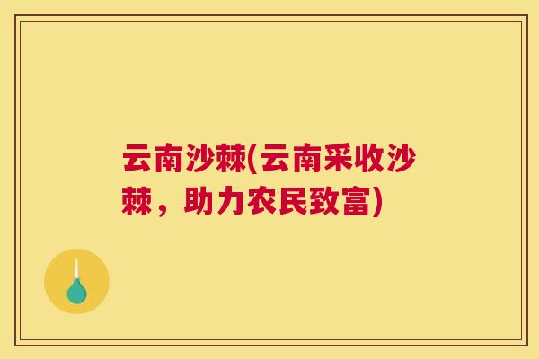 云南沙棘(云南采收沙棘，助力农民致富)