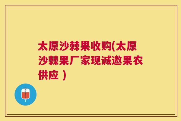 太原沙棘果收购(太原沙棘果厂家现诚邀果农供应 )