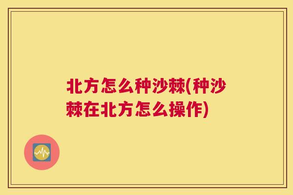 北方怎么种沙棘(种沙棘在北方怎么操作)