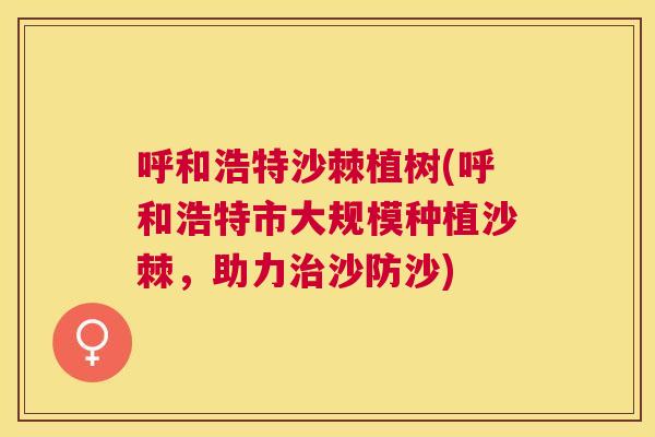 呼和浩特沙棘植树(呼和浩特市大规模种植沙棘，助力治沙防沙)