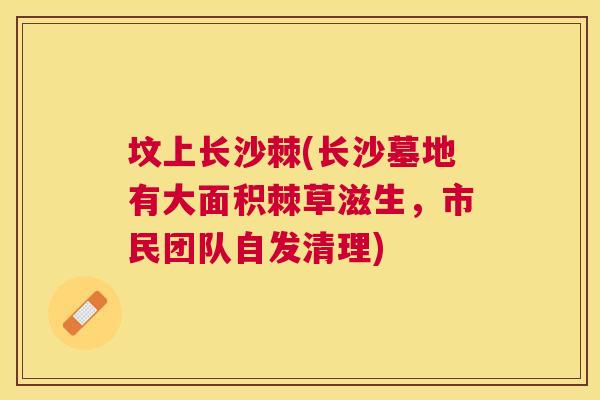 坟上长沙棘(长沙墓地有大面积棘草滋生，市民团队自发清理)