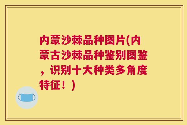 内蒙沙棘品种图片(内蒙古沙棘品种鉴别图鉴，识别十大种类多角度特征！)