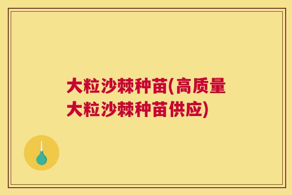 大粒沙棘种苗(高质量大粒沙棘种苗供应)