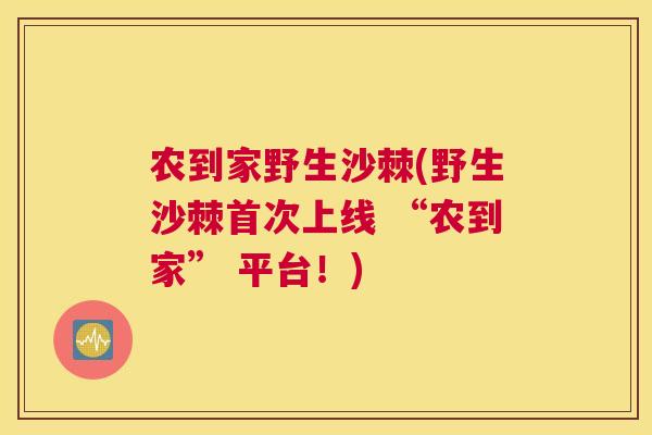 农到家野生沙棘(野生沙棘首次上线 “农到家” 平台！)