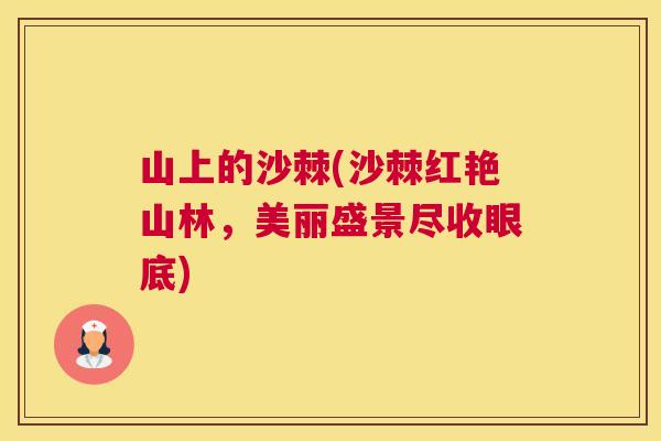 山上的沙棘(沙棘红艳山林，美丽盛景尽收眼底)