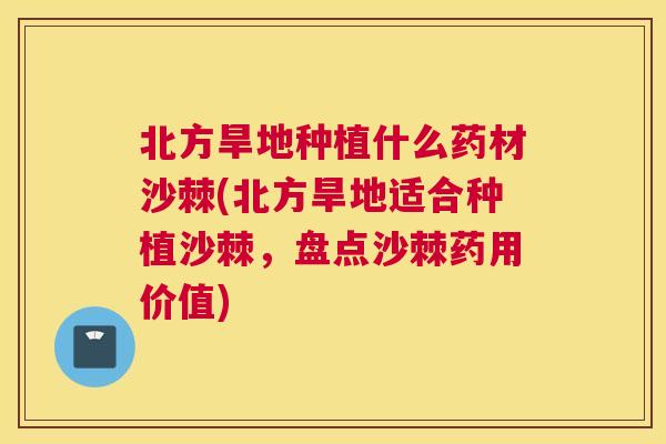 北方旱地种植什么药材沙棘(北方旱地适合种植沙棘，盘点沙棘药用价值)