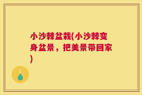 小沙棘盆栽(小沙棘变身盆景，把美景带回家)