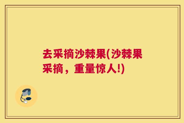 去采摘沙棘果(沙棘果采摘，重量惊人!)
