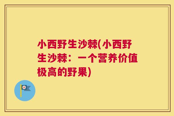 小西野生沙棘(小西野生沙棘：一个营养价值极高的野果)