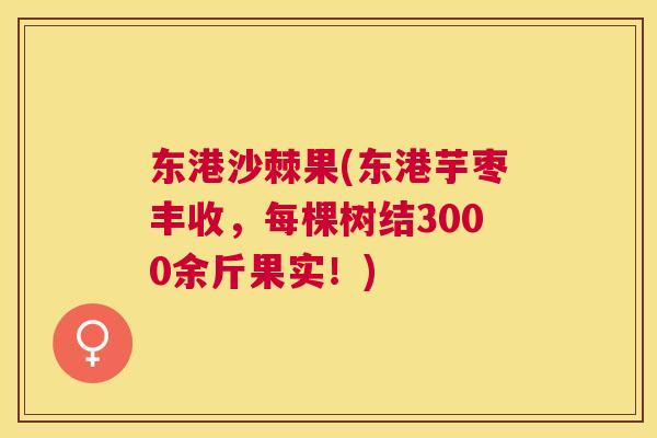 东港沙棘果(东港芋枣丰收，每棵树结3000余斤果实！)