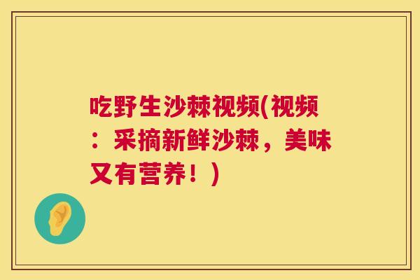 吃野生沙棘视频(视频：采摘新鲜沙棘，美味又有营养！)