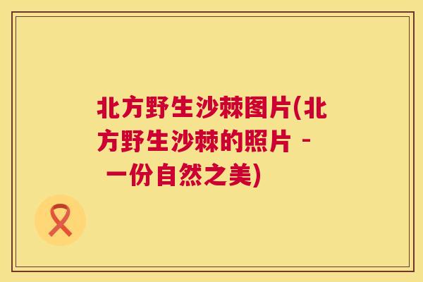 北方野生沙棘图片(北方野生沙棘的照片 - 一份自然之美)