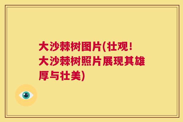 大沙棘树图片(壮观！大沙棘树照片展现其雄厚与壮美)