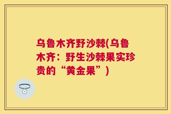 乌鲁木齐野沙棘(乌鲁木齐：野生沙棘果实珍贵的“黄金果”)