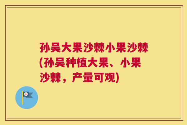 孙吴大果沙棘小果沙棘(孙吴种植大果、小果沙棘，产量可观)