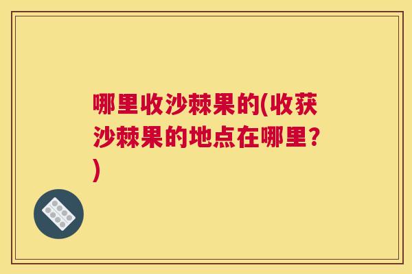 哪里收沙棘果的(收获沙棘果的地点在哪里？)